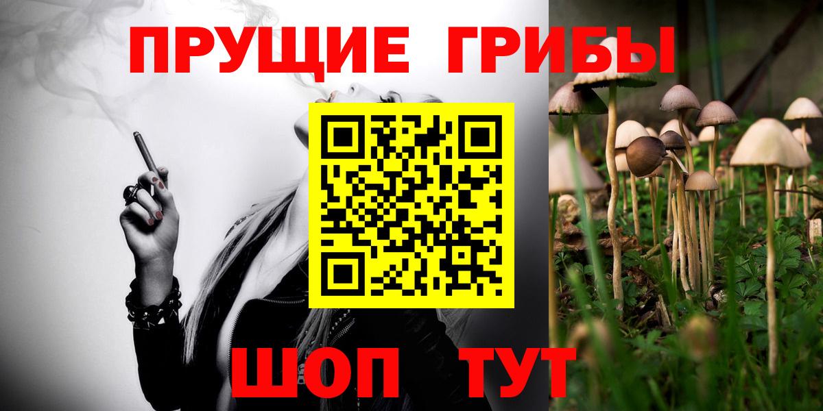 Псилоцибиновые грибы Cubensis Будённовск