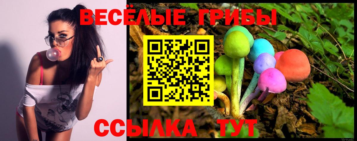 Псилоцибиновые грибы прущие грибы  Вход с VPN  Будённовск 
